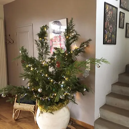 Tatil Evi L'ancienne Grange Clairvaux-d'Aveyron