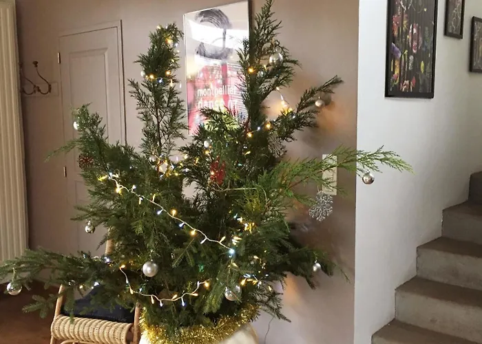 Hébergement de vacances L'ancienne Grange Clairvaux-d'Aveyron